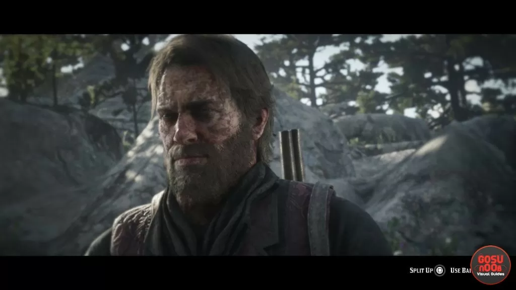 Red Dead Redemption 2 Split Up or Leave Bait - Bear Hunting