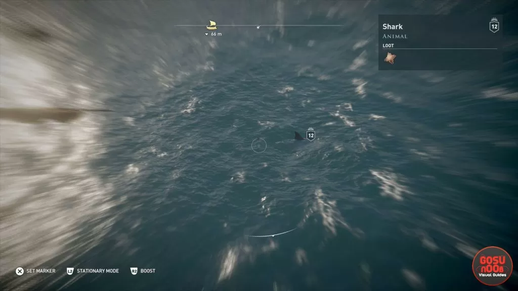 Shark Locations for daily bounty quests in Assassins Creed Odyssey 1