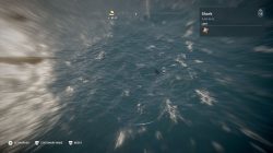Shark Locations for daily bounty quests in Assassins Creed Odyssey 1
