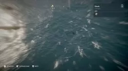 Shark Locations for daily bounty quests in Assassins Creed Odyssey 1