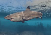 assassins creed odyssey shark locations