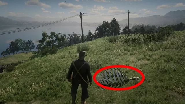 grassy hills red dead redemption dinosaur bones location heartlands