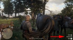 how to change main horse in red dead redemption 2