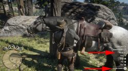 how to clean horse rdr 2 what to do when horse is dirty