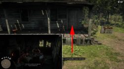 how to get rdr2 lonnies shack homestead stash