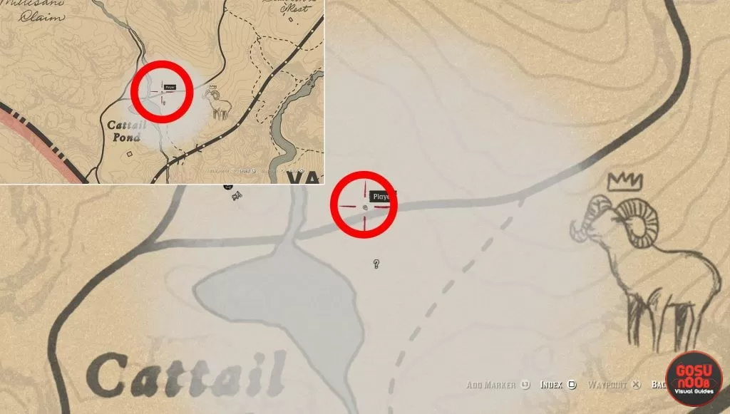 legendary big horn ram second clue location rdr2