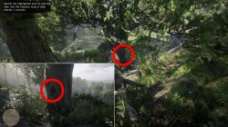 rdr 2 chicks treasure map location where to find solution