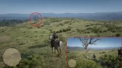 rdr 2 dreamcatcher heartlands