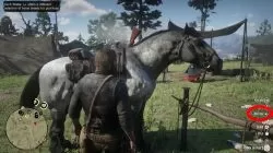 rdr 2 horse brush how to unlock