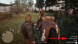rdr 2 how to remove saddle from horse