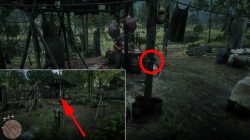 rdr 2 where to find pig mask location