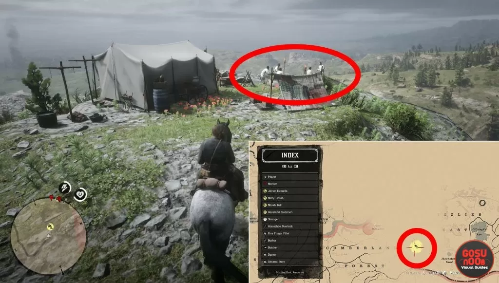 rdr2 help marie find brother or not what to choose