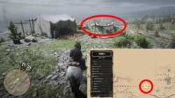 rdr2 help marie find brother or not what to choose