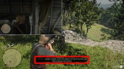 rdr2 homestead stash lonnies shack where to find