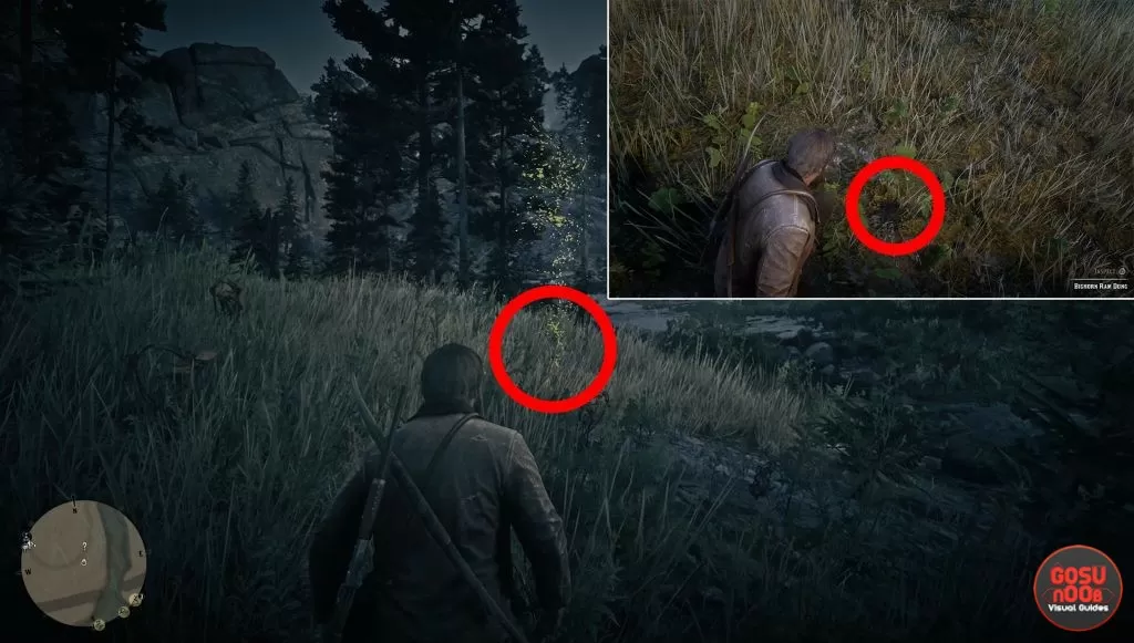 rdr2 legendary ram first clue location where to find