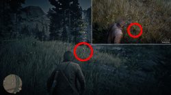 rdr2 legendary ram first clue location where to find