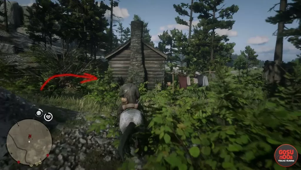 rdr2 pocket mirror location