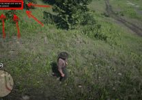 red dead redemption 2 how to keep stolen hats