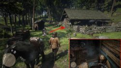 red dead redemption 2 jack penny dreadful locations