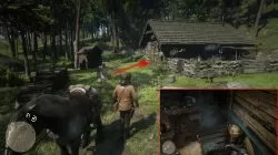 red dead redemption 2 jack penny dreadful locations