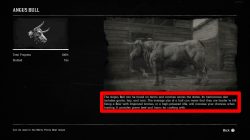 red dead redemption 2 where to get bull