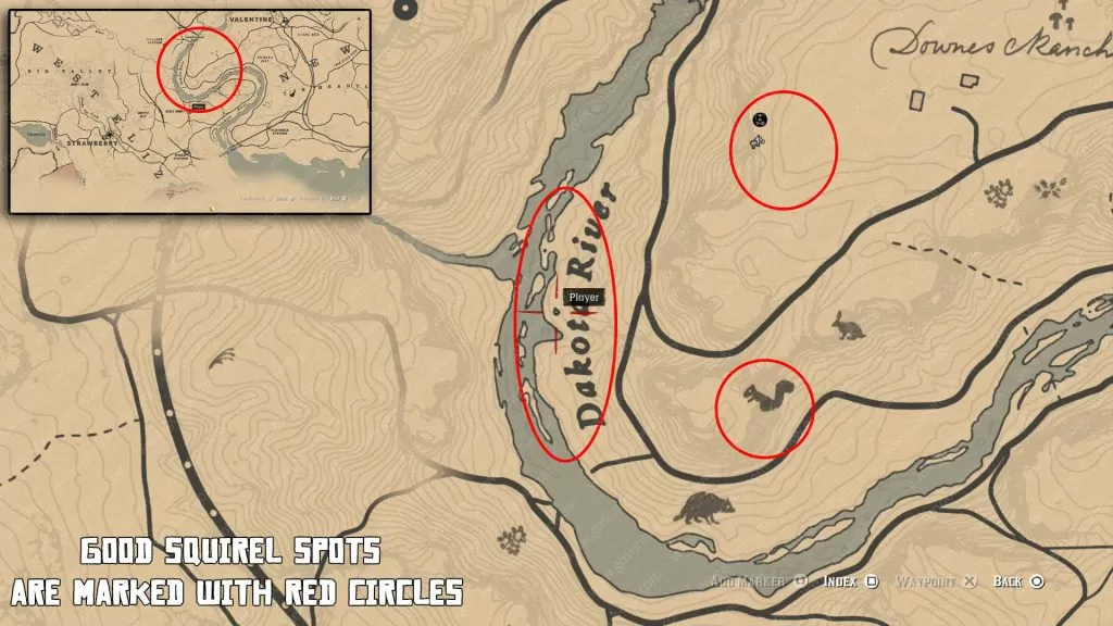 red dead redemption pristine squirrel locations map