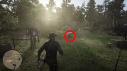where to find rdr 2 fishing rod