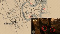 where to find rdr 2 oleander plants for poison arrows