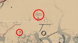 where to find rdr2 lonnies shack location