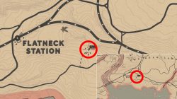 where to find sadie harmonica location red dead redemption 2