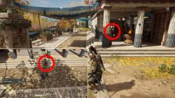 where to find skylax the fair cultist location assassins creed odyssey