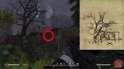 Forest Treasure map where to find playground mound fo76