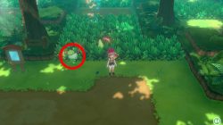 bulbasaur location pokemon lets go pikachu eevee where to find