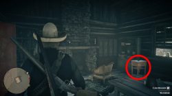 hermit stranger how to get torn treasure map 1 red dead redemption 2