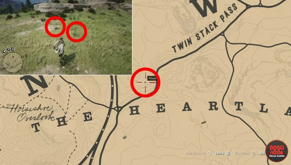 rdr2 yarrow locations where to find heartlands location