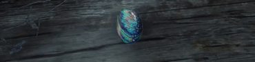 red dead redemption 2 abalone shell fragment location