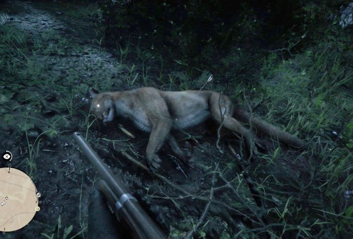 red dead redemption 2 cougar locations hunter challenge