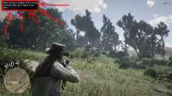 red dead redemption 2 how to use scope