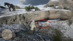 red dead redemption 2 where to find bigfoot