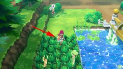 squirtle locations pokemon lets go where to find