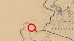 torn treasure map where to find rdr2 location