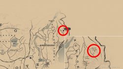 where to find rdr2 hermit stranger location