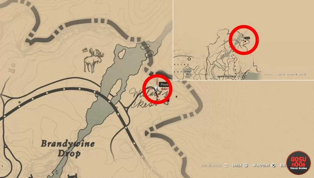 where to find willards rest rdr2 location