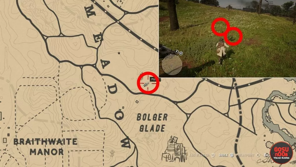 where to find yarrow locations rdr2 bolger glade