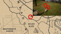 where to find yarrow locations rdr2 bolger glade