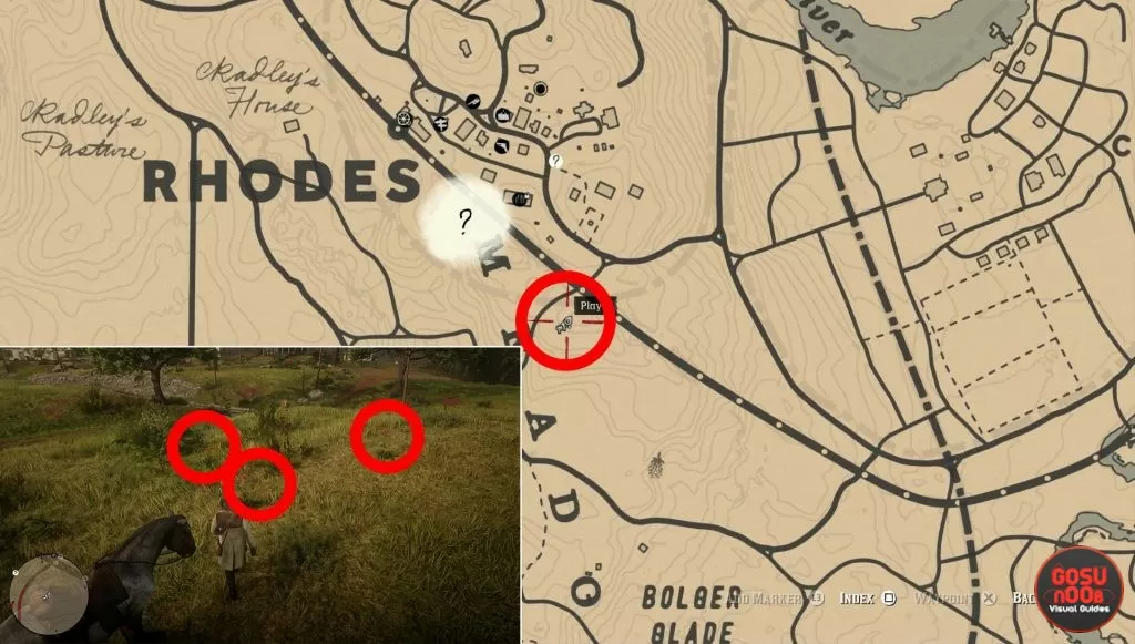 yarrow locations rhodes location rdr2 where to find