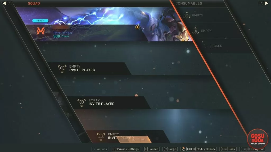 Anthem How to Equip Banners & What They Do