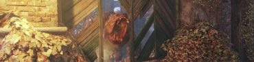 Metro Exodus How to Defeat Bear Master of the Forest Trophy