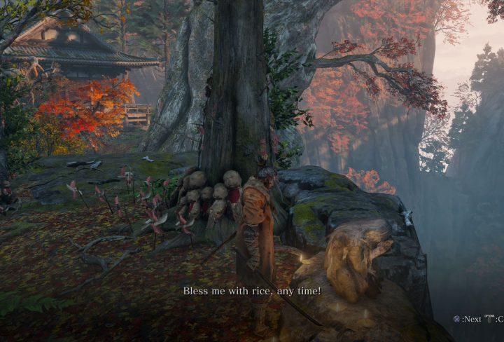 Sekiro Where to Find Rice for the Old Lady
