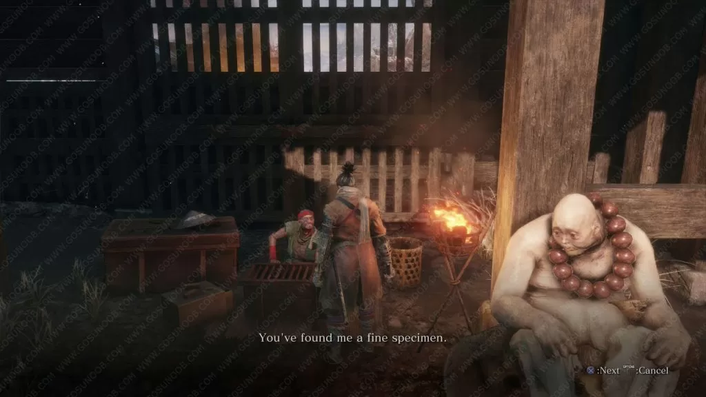 kotaru and anayama the peddler sekiro